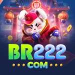 br222 Casino Official v4.8.9